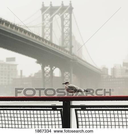 Manhattan Bridge In The Fog, New York City; New York City, New York, Usa View Large Photo Image Picture - Manhattan Bridge In The Fog, New York City; New York City, New York, Usa. Fotosearch