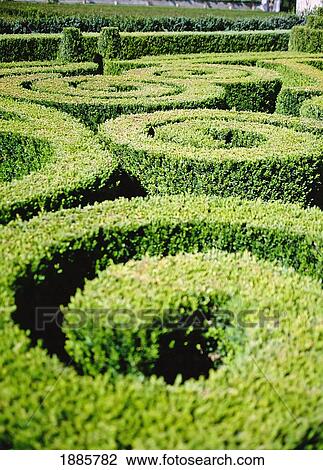 Manicured Gardens, Close-Up View Large Photo Image Stock Image - Manicured Gardens, Close-Up. Fotosearch