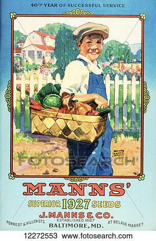 Mann's seed catalog with illustration of boy holding vegetables from the 20th century. View Large Photo Image Stock Image - Mann's seed catalog with illustration of boy holding vegetables from the 20th century.. Fotosearch