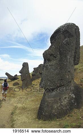 Picture - Maoi At Rano Raraku Quarry. Fotosearch
