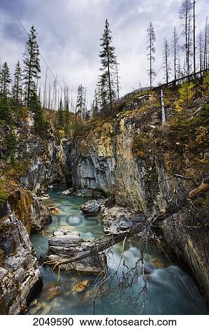 Stock Image - Marble Canyon, Kootenay National Park, British Columbia. Fotosearch