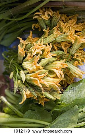 Stock Photo - Marrow Flowers In Market In Vinh Long, Vietnam. Fotosearch