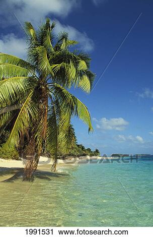Stock Image - Marshall Islands, Calalin Island, Majuro Atoll And Lagoon. Fotosearch