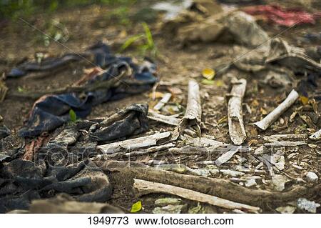 Martyrs' Bones Still Stick Up From The Ground In The Cheung Ek 'killing Fields' Near Phnom Penh; Cambodia View Large Photo Image Stock Image - Martyrs' Bones Still Stick Up From The Ground In The Cheung Ek 'killing Fields' Near Phnom Penh; Cambodia. Fotosearch