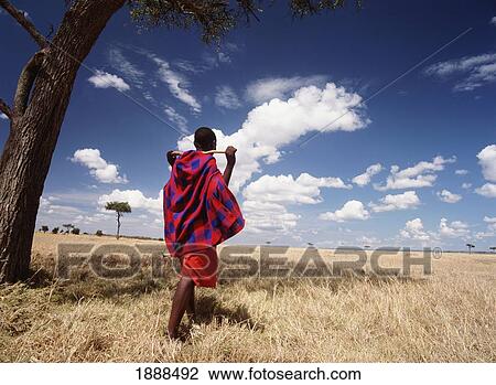 Masai Man Standing Under Flat Topped Acaia Tree View Large Photo Image Stock Image - Masai Man Standing Under Flat Topped Acaia Tree. Fotosearch