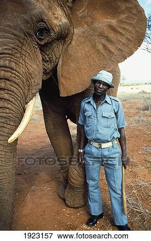 圖片- masai mara, 遊戲 儲備