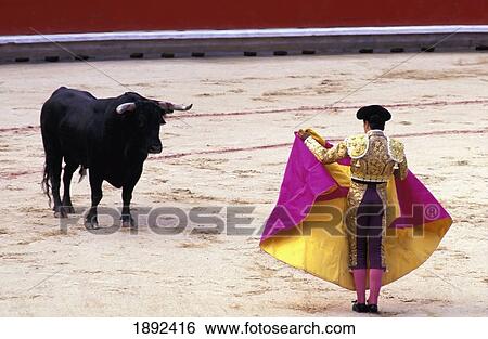 Stock Photograph - Matador Tormenting Bull In Ring. Fotosearch