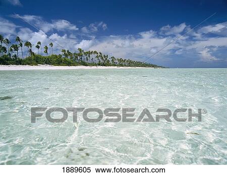Stock Photography - Matemwe Beach. Fotosearch