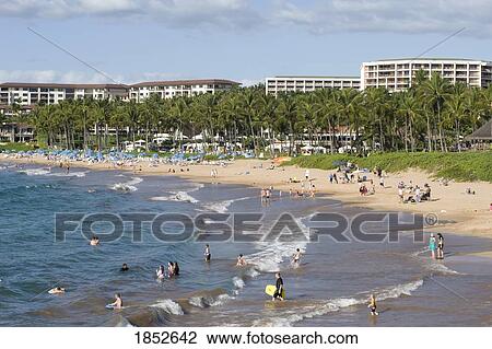 Maui, Hawaii, Usa; Busy Beach Scene View Large Photo Image Stock Image - Maui, Hawaii, Usa; Busy Beach Scene. Fotosearch