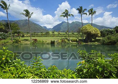 Stock Photo - Maui Tropical Plantation; Waikapu, Maui, Hawaii, United States of America. Fotosearch