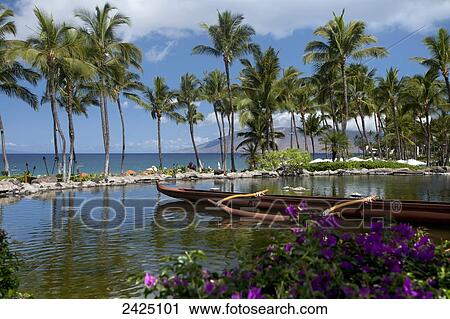Maui, Wailea, Pool at Grand Wailea Resort View Large Photo Image Stock Image - Maui, Wailea, Pool at Grand Wailea Resort. Fotosearch