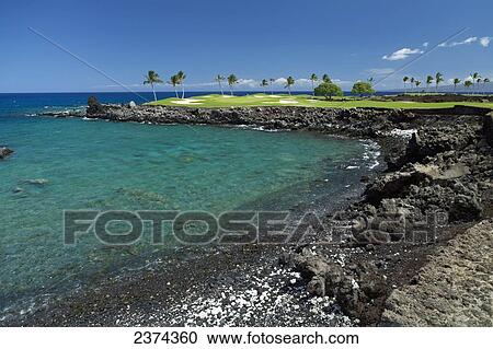 Mauna Lani Golf Course; Big Island, Hawaii, United States of America View Large Photo Image Stock Image - Mauna Lani Golf Course; Big Island, Hawaii, United States of America. Fotosearch
