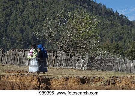 Stock Photography - Maya Children On Their Way To School, Mesa Central De Chiapas, Chiapas, Mexico. Fotosearch