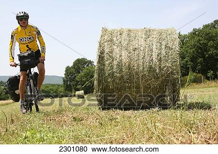 Me, An English Tourist, Cycling Across Wheat Fields On A Loaded Touring Bicycle In The Countryside Near Siena In Tuscany. Italy. June. Model Released. View Large Photo Image Stock Image - Me, An English Tourist, Cycling Across Wheat Fields On A Loaded Touring Bicycle In The Countryside Near Siena In Tuscany. Italy. June. Model Released.. Fotosearch