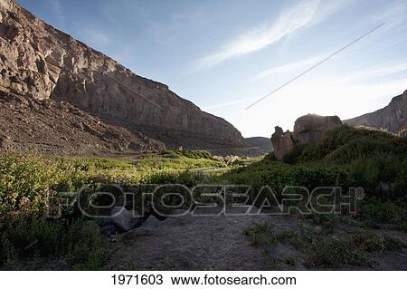 Stock Image - Meadow Of The Salado In Quebrada Del Diablo (DevilÃƒÆ’Ã¢â‚¬Â S Gorge), Antofagasta Region, Chile. Fotosearch