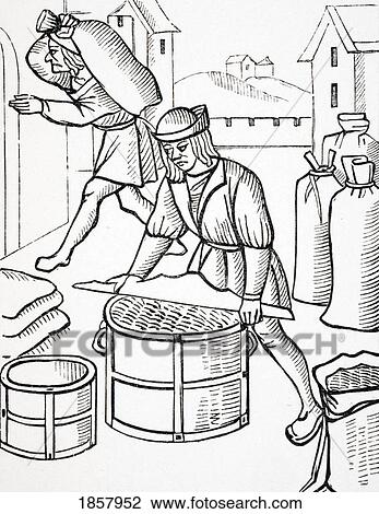 Stock Image - Measurers Of Corn In Paris. After Woodcut From Royal Orders Concerning The Jurisdiction Of The Company Of Merchants And Shrievalty In The City Of Paris Published 1528. Fotosearch