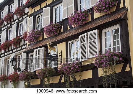 Medieval Timber Style Building Front With White Shutters, Gold Deer Sign And Flower Boxes; Strasbourg, France View Large Photo Image Stock Photograph - Medieval Timber Style Building Front With White Shutters, Gold Deer Sign And Flower Boxes; Strasbourg, France. Fotosearch