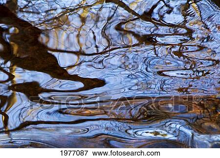 Stock Photo - Melusina, Rhode Island, Bristol, Blithewood, Ripples And Reflections On Water Surface.. Fotosearch