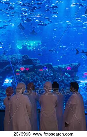 Men dressed in traditional ararbic dishdashas looking at the aquarium in the Dubai Mall; Dubai, United Arab Emirates View Large Photo Image Stock Image - Men dressed in traditional ararbic dishdashas looking at the aquarium in the Dubai Mall; Dubai, United Arab Emirates. Fotosearch