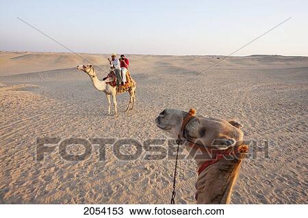 Stock Image - Men On A Camel, Giza, Al Jizah, Egypt. Fotosearch