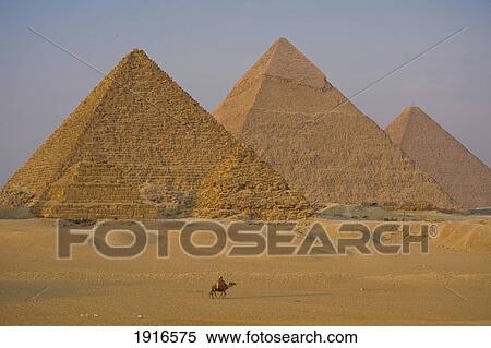 Men On Camels Beside The Pyramids View Large Photo Image Stock Photography - Men On Camels Beside The Pyramids. Fotosearch
