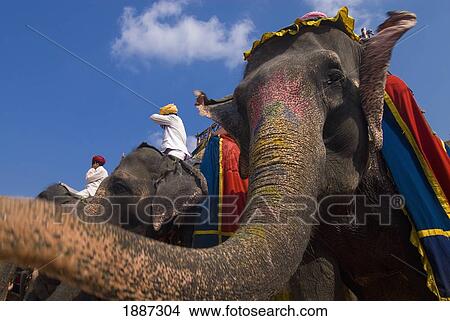 Picture - Men On Elephants At Amber Fort, Low Angle View. Fotosearch