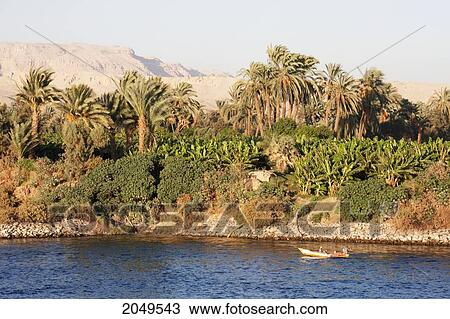 Stock Image - Men Rowing A Boat On The Nile River Between Luxor And Esna, Qina, Egypt. Fotosearch