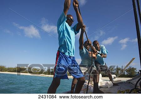 Picture - Men work together to raise a sail on a sailboat; Vamizi Island, Mozambique. Fotosearch