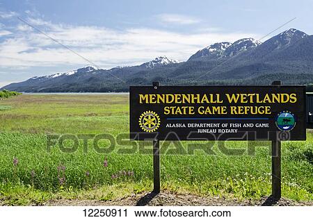Mendenhall Wetlands State Game Sanctuary with the mountains of Douglas Island in the distance; Juneau, Alaska, United States of America View Large Photo Image Stock Image - Mendenhall Wetlands State Game Sanctuary with the mountains of Douglas Island in the distance; Juneau, Alaska, United States of America. Fotosearch