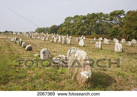 Stock Photo - Menhirs In The Kermario Alignments, Carnac, Morbihan, France. Fotosearch
