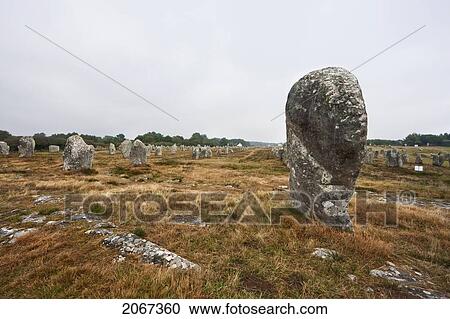 Menhirs In The The Menec Alignments, Carnac, Morbihan, France View Large Photo Image Stock Image - Menhirs In The The Menec Alignments, Carnac, Morbihan, France. Fotosearch
