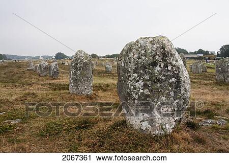 Menhirs In The The Menec Alignments, Carnac, Morbihan, France View Large Photo Image Stock Image - Menhirs In The The Menec Alignments, Carnac, Morbihan, France. Fotosearch
