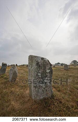 Menhirs In The The Menec Alignments, Carnac, Morbihan, France View Large Photo Image Stock Image - Menhirs In The The Menec Alignments, Carnac, Morbihan, France. Fotosearch