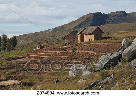 Merina Houses And Rice Fields Along The Road Between Ambositra & Ambavalao, Fianarantsoa Province, Madagascar View Large Photo Image Picture - Merina Houses And Rice Fields Along The Road Between Ambositra & Ambavalao, Fianarantsoa Province, Madagascar. Fotosearch