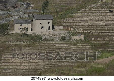 Merina Houses And Rice Fields Along The Road Between Ambositra & Ambavalao, Fianarantsoa Province, Madagascar View Large Photo Image Stock Photo - Merina Houses And Rice Fields Along The Road Between Ambositra & Ambavalao, Fianarantsoa Province, Madagascar. Fotosearch