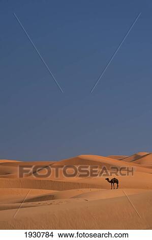 Merzouga, Morocco. View Large Photo Image Picture - Merzouga, Morocco.. Fotosearch