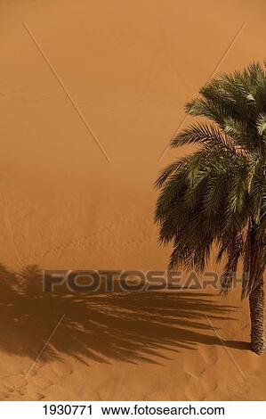 Merzouga, Morocco. View Large Photo Image Stock Image - Merzouga, Morocco.. Fotosearch