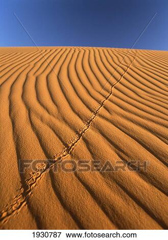 Merzouga, Morocco. View Large Photo Image Stock Photo - Merzouga, Morocco.. Fotosearch