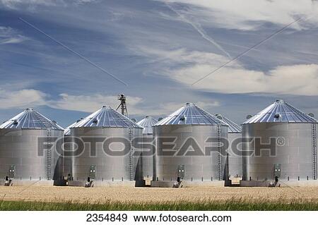 Stock Photo - Metal Grain Bins In A Row; Alberta, Canada. Fotosearch