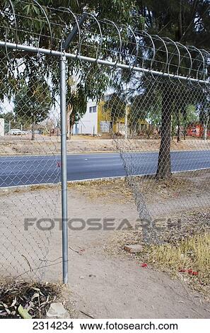 Mexico, Aguascalientes, Aguascalientes, Hole in barbed wire fence at roadside View Large Photo Image Picture - Mexico, Aguascalientes, Aguascalientes, Hole in barbed wire fence at roadside. Fotosearch