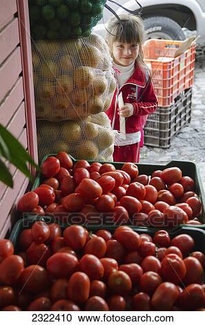 Mexico, Guanajuato, San Miguel del Allende, Young girl standing in front of crates of fresh tomatoes View Large Photo Image Stock Image - Mexico, Guanajuato, San Miguel del Allende, Young girl standing in front of crates of fresh tomatoes. Fotosearch