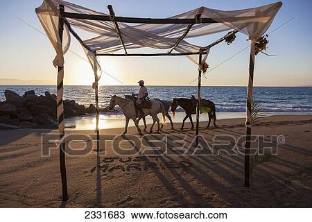 Mexico, Horse vendor ends his day at beach where destination wedding was held; Puerto Vallarta View Large Photo Image Stock Image - Mexico, Horse vendor ends his day at beach where destination wedding was held; Puerto Vallarta. Fotosearch