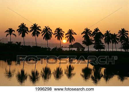 Stock Photo - Mexico, Ixtapa, Sunset With Palms, Reflections On Water Foreground A53F. Fotosearch