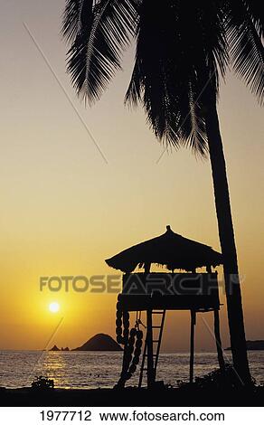 Stock Image - Mexico, Silhouette of beach bungalow and palm tree at sunset; Ixtapa Coast. Fotosearch