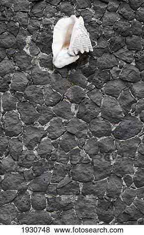 Stock Photo - Mexico. Fotosearch