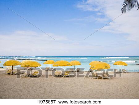 Stock Photo - Mexico, Yucatan Peninsula, Isla Mujeres, Beach Chairs And Umbrellas On White Sand Beach, Palm Frond In Foreground.. Fotosearch