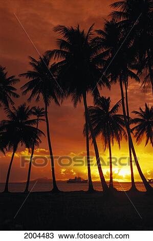 Stock Image - Micronesia, Caroline Islands, Chuuk, Micro Truk Lagoon, Palm Trees And Sunset Over Lagoon, Dive Boat In Water. Fotosearch