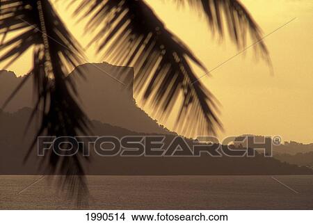 Micronesia, Caroline Islands, Pohnpei, Sokehs Rock Lagoon And Palm Trees. Golden Sunset View Large Photo Image Picture - Micronesia, Caroline Islands, Pohnpei, Sokehs Rock Lagoon And Palm Trees. Golden Sunset. Fotosearch