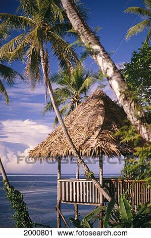 Stock Image - Micronesia, Caroline Islands, Pohnpei, Close-Up Of Hut Overlooking Ocean, Palm Trees. Fotosearch