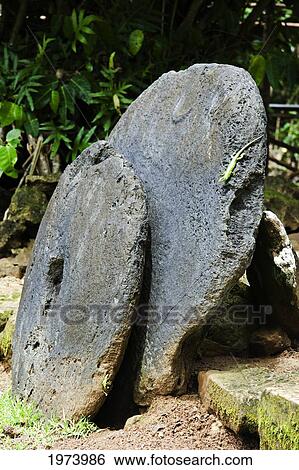 Stock Photograph - Micronesia, Green Lizard Sits On Some Native Stone Money; Island Of Yap. Fotosearch